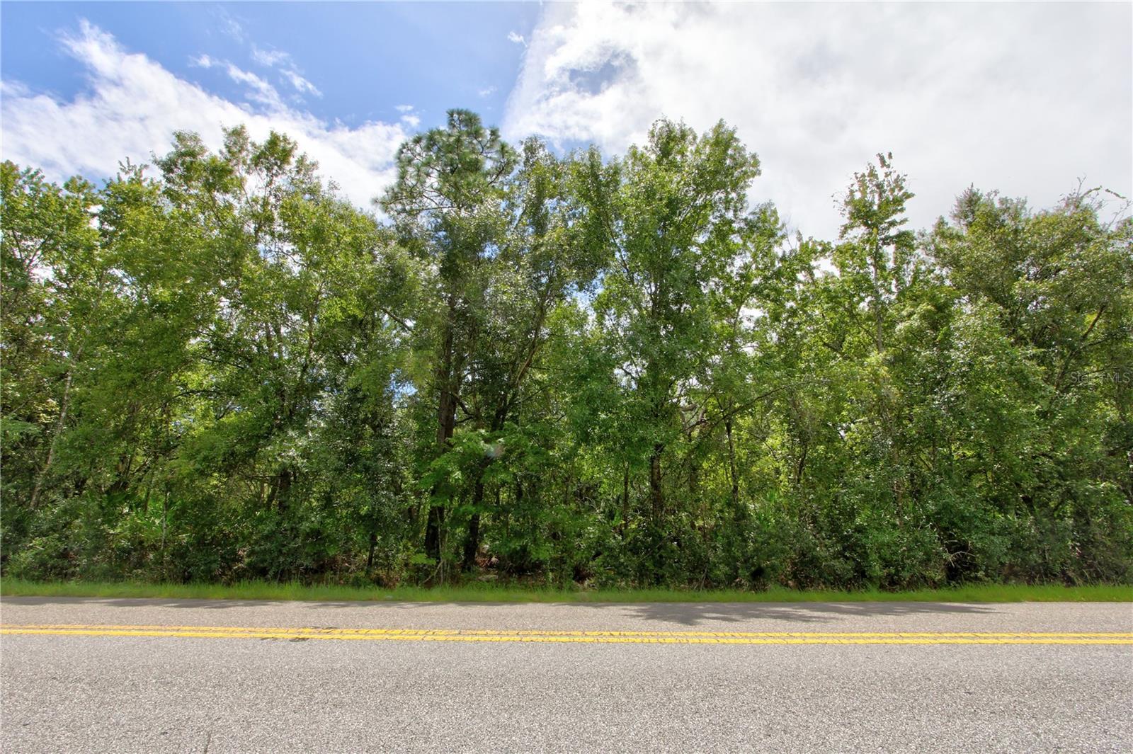 STARRY ST #Lot 4, ORLANDO, FL