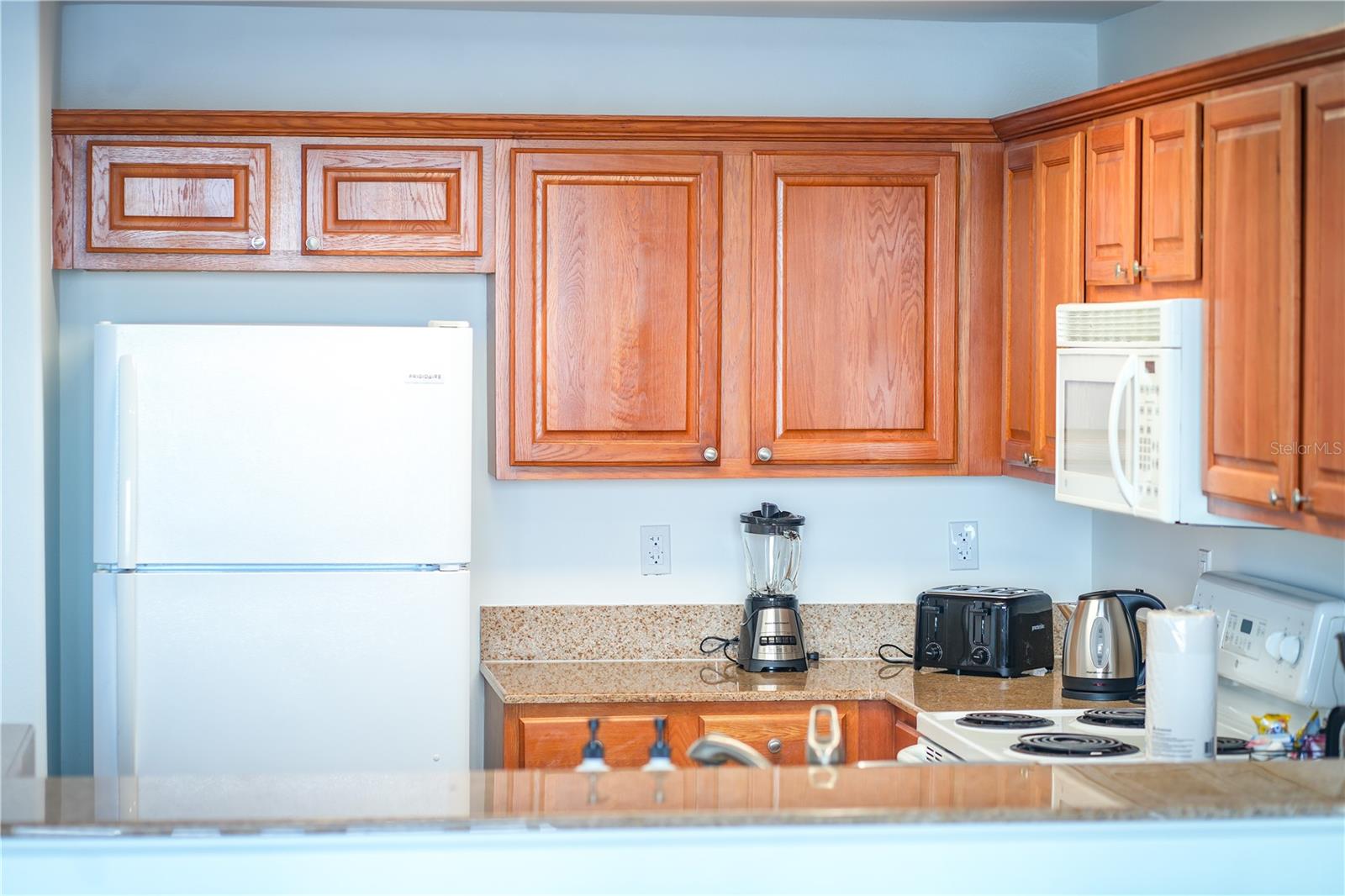 13415 BLUE HERON BEACH DR #1108, ORLANDO, FL — photo 20