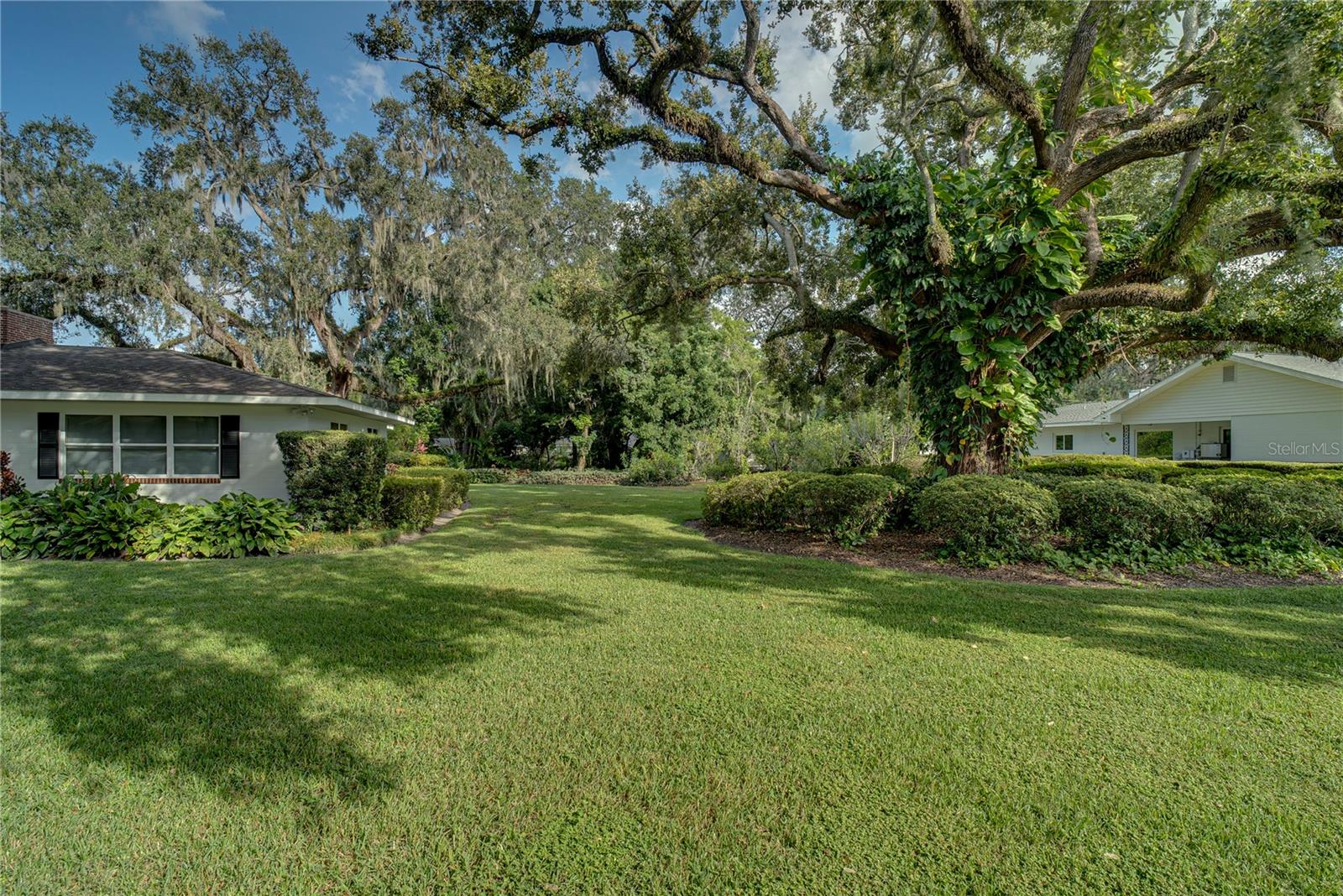 241 N DILLARD ST, WINTER GARDEN, FL — photo 3