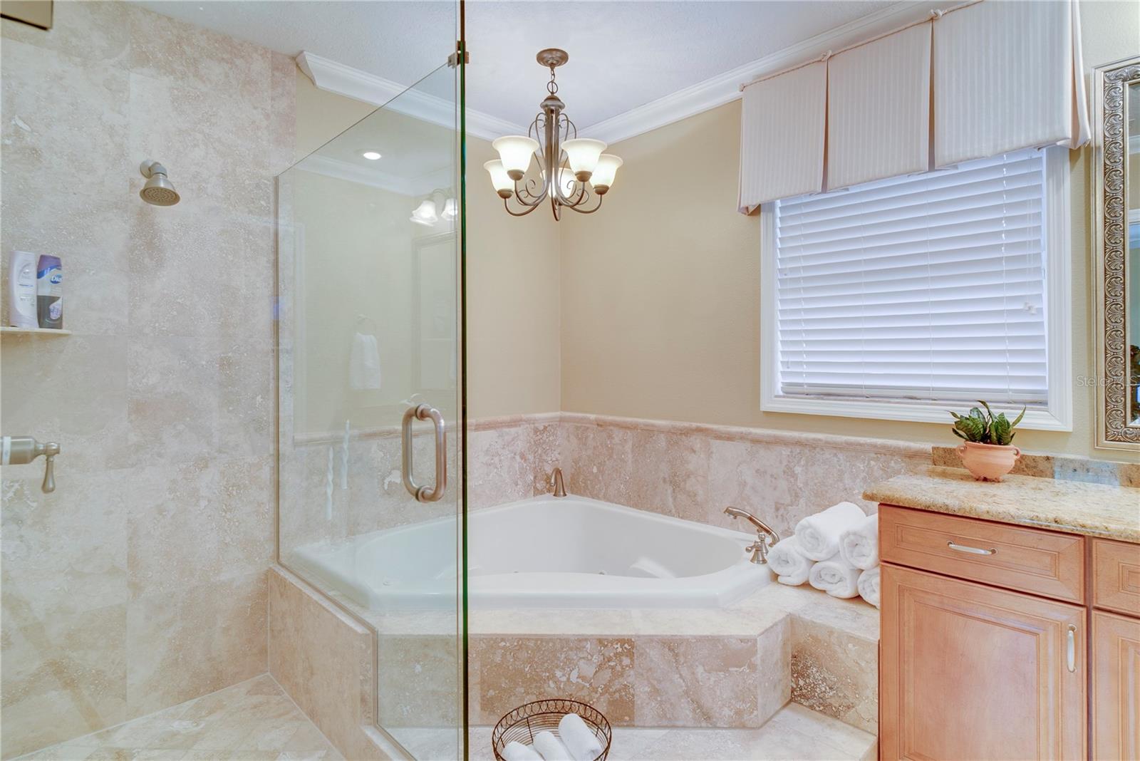 241 N DILLARD ST, WINTER GARDEN, FL — photo 20