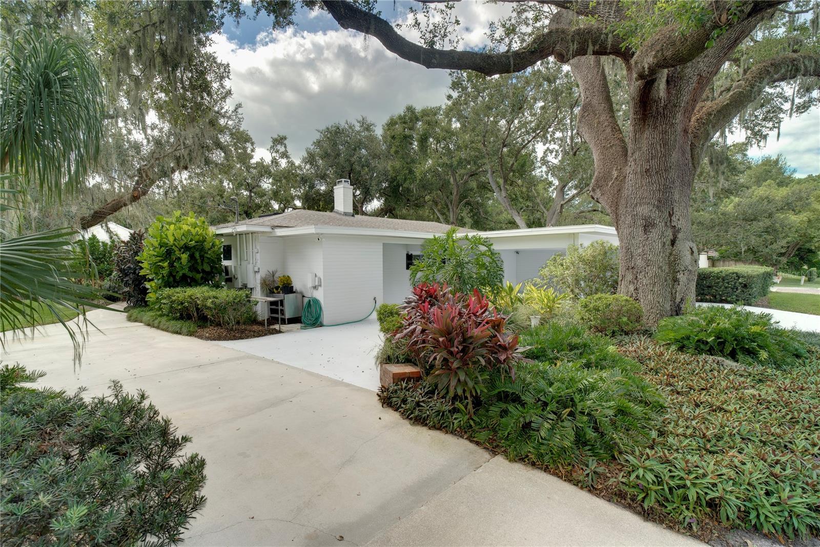 241 N DILLARD ST, WINTER GARDEN, FL — photo 37