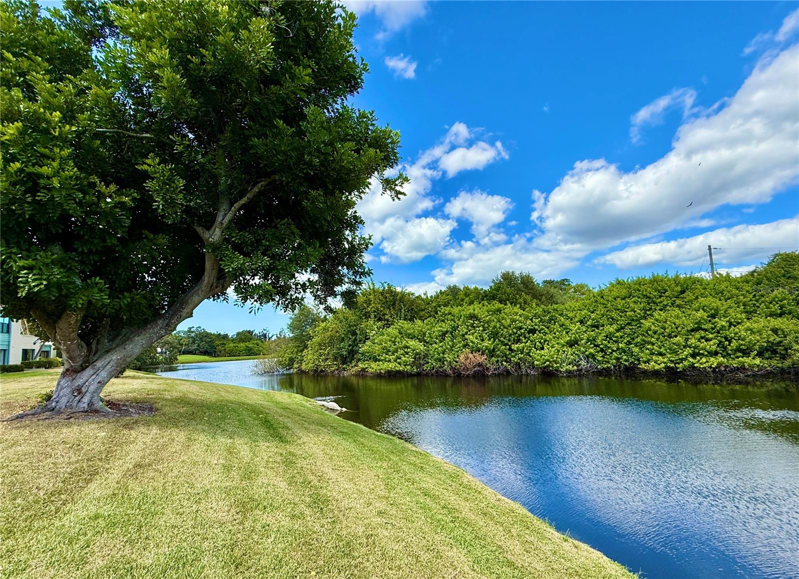 621 SPRING LAKES BLVD #621, BRADENTON, FL — photo 12