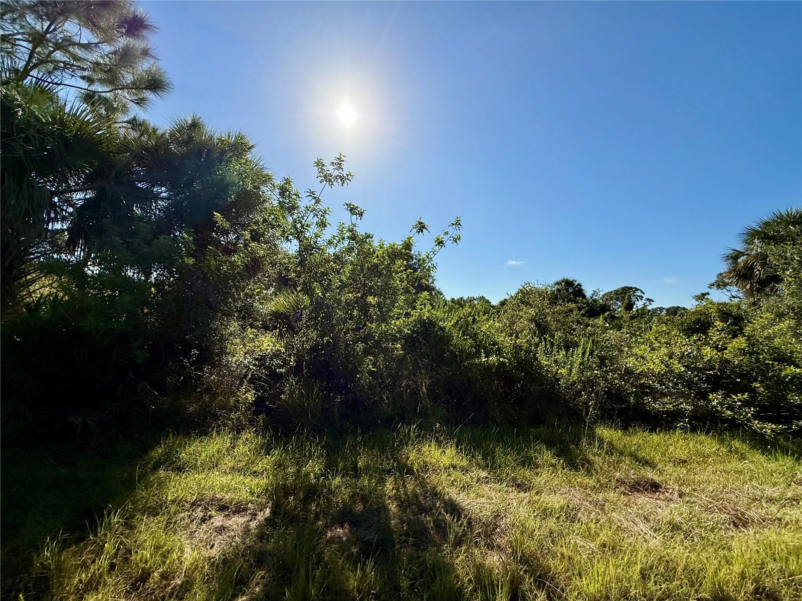 EMBASSY RD, NORTH PORT, FL — photo 2