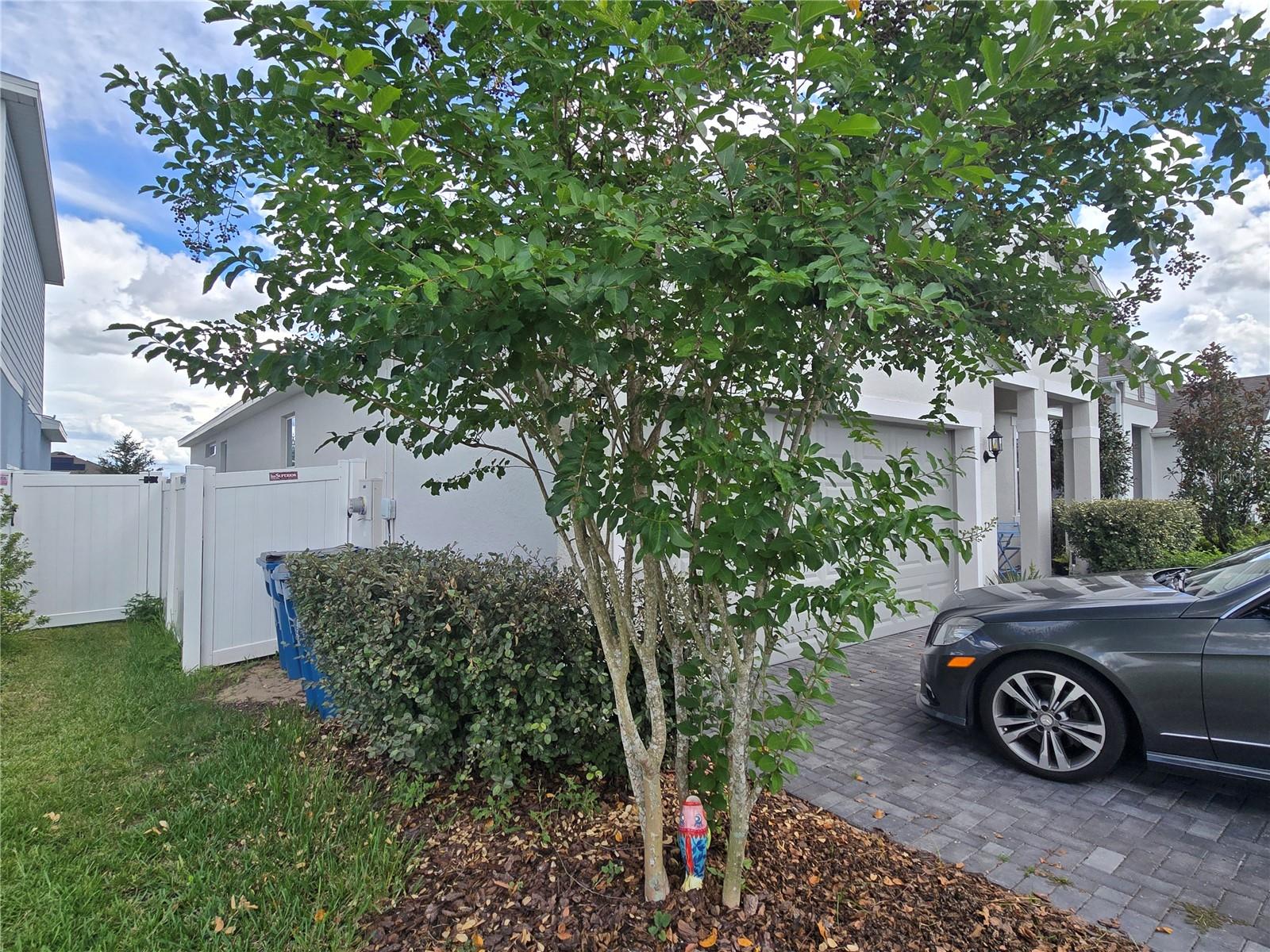1225 TUPELO TRL, HAINES CITY, FL — photo 3