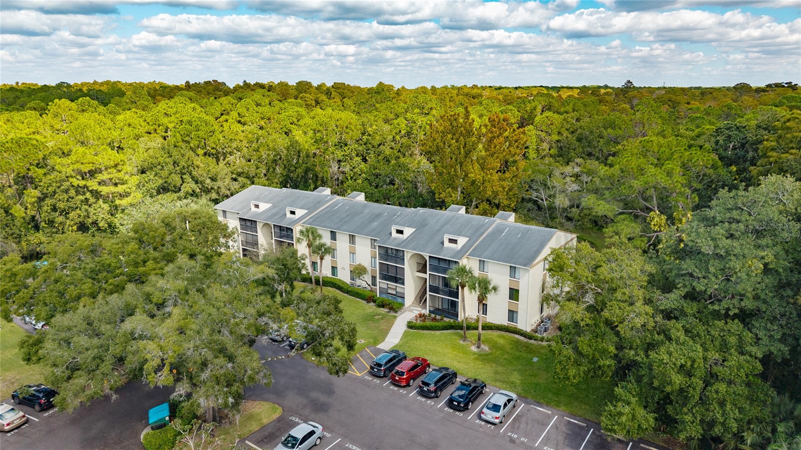 3232 LAKE PINE WAY E #F2, TARPON SPRINGS, FL