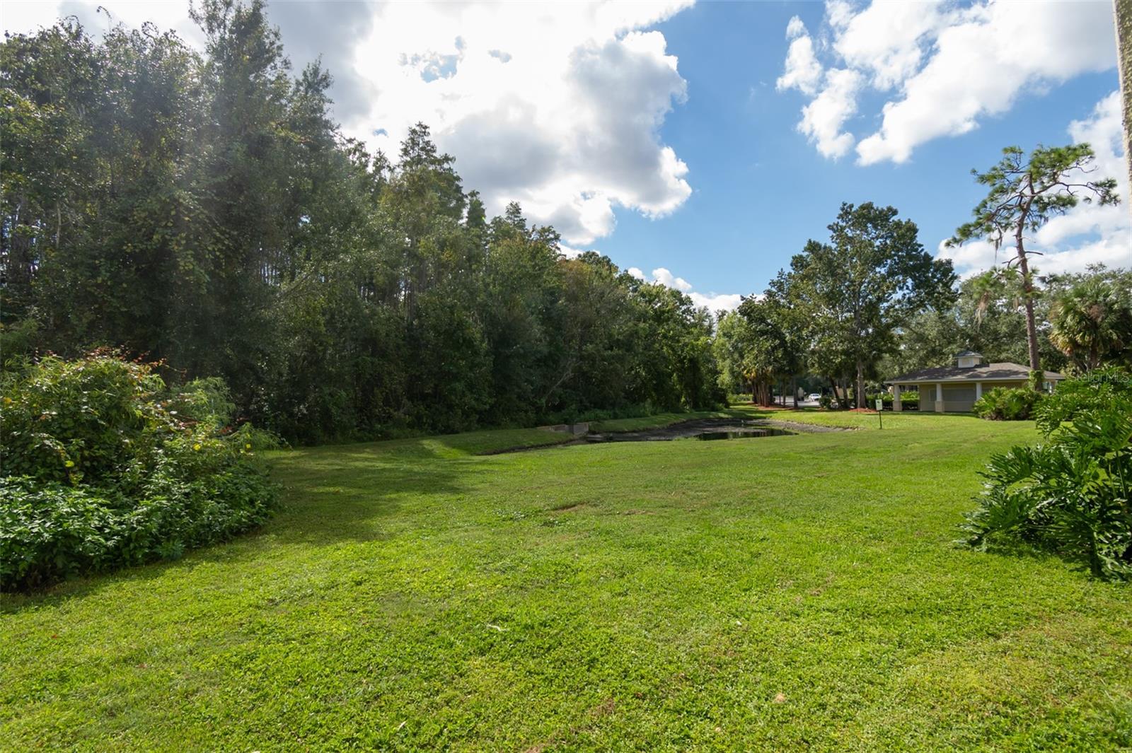 18113 BRIDLE CLUB DR, TAMPA, FL — photo 12