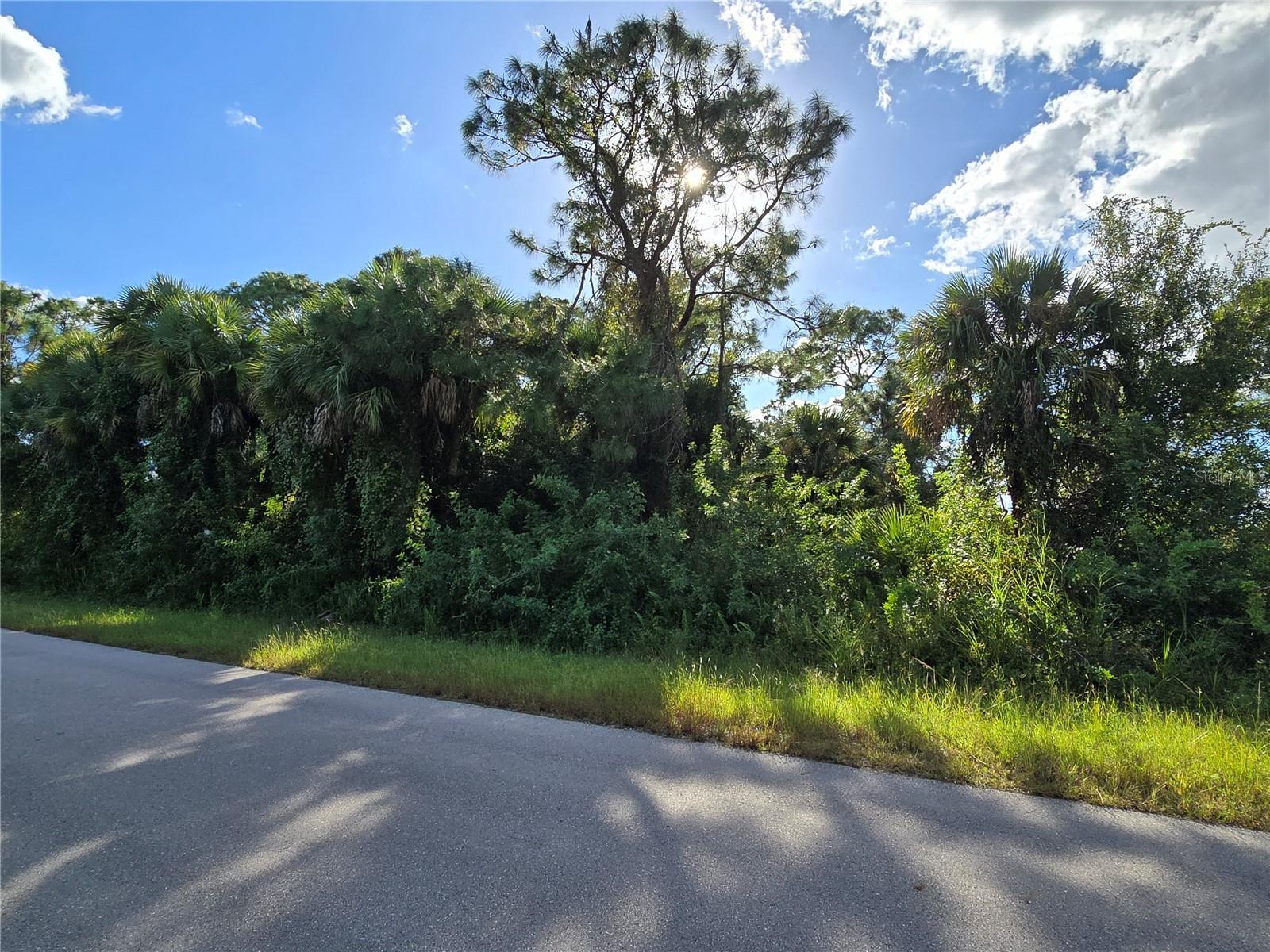 454 NAPLES AVE S, LEHIGH ACRES, FL — photo 5