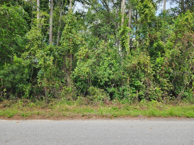0 HUNTLEY ST, NEW PORT RICHEY, FL — photo 2