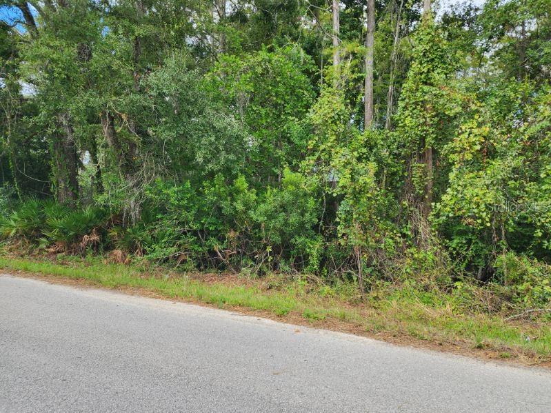 0 HUNTLEY ST, NEW PORT RICHEY, FL — photo 4