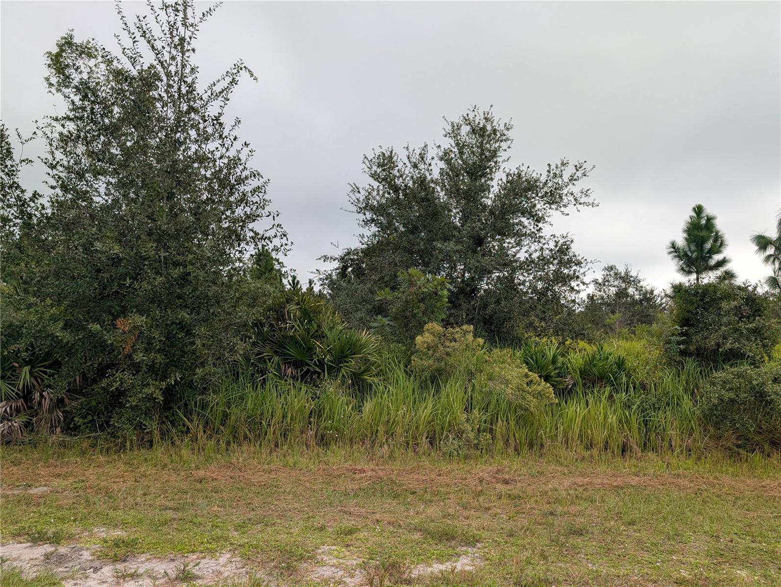 6931 ORLANDO DR, INDIAN LAKE ESTATES, FL — photo 3