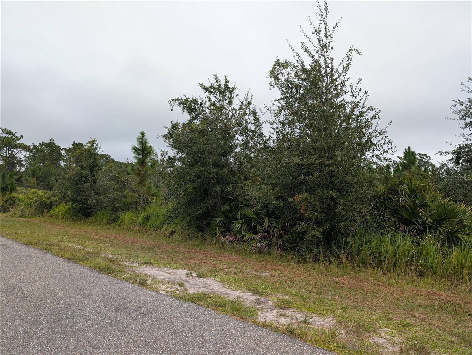 6931 ORLANDO DR, INDIAN LAKE ESTATES, FL — photo 8