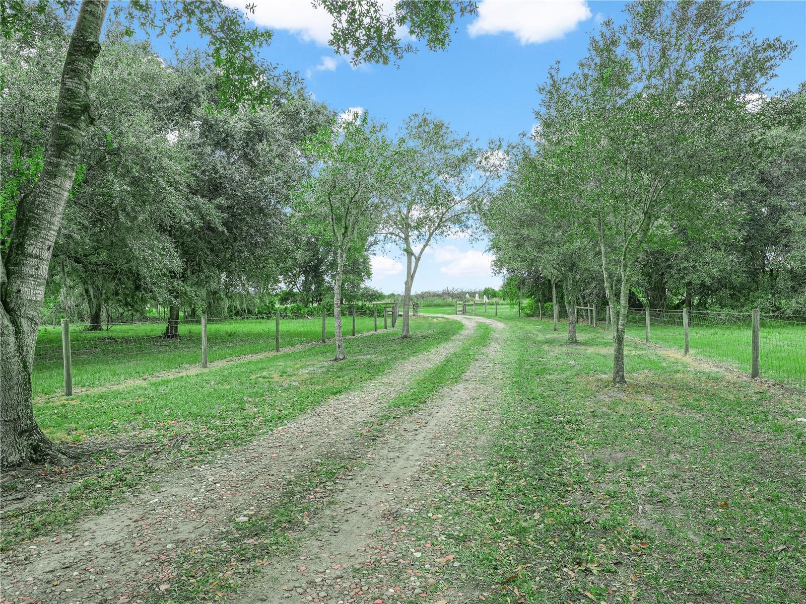 3963 MAMMOTH GROVE RD, LAKE WALES, FL — photo 2