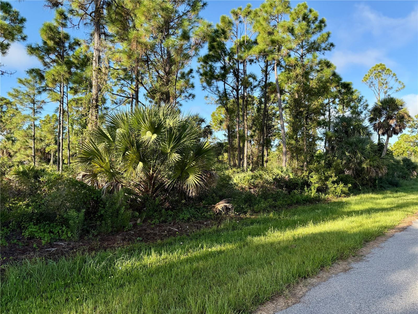 26350 EAGER RD, PUNTA GORDA, FL