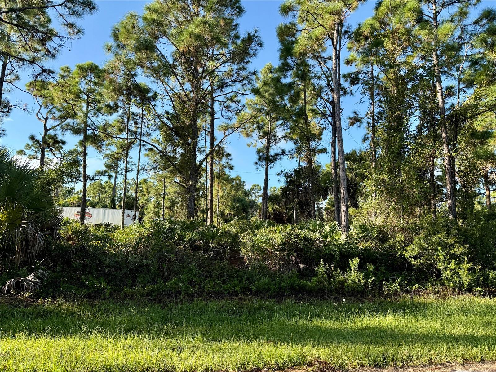 26350 EAGER RD, PUNTA GORDA, FL — photo 4