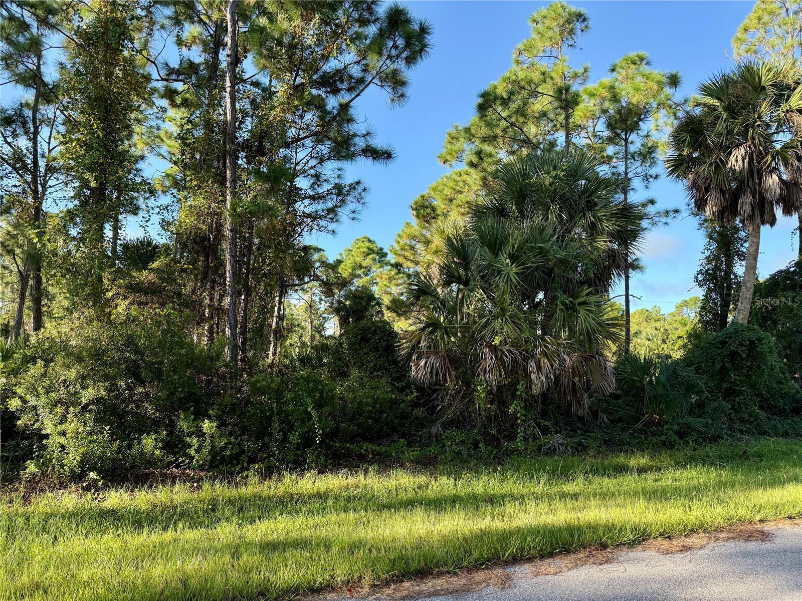 26350 EAGER RD, PUNTA GORDA, FL — photo 5
