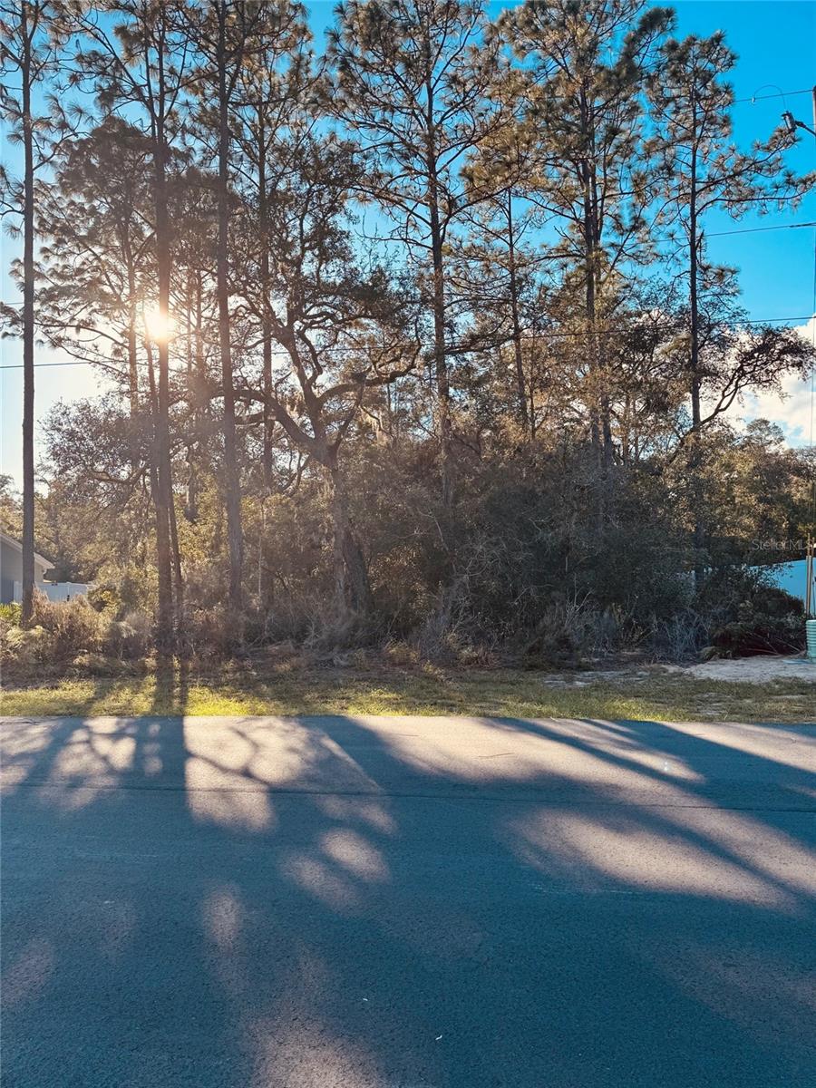 0 SW 69TH COURT RD, OCALA, FL — photo 2