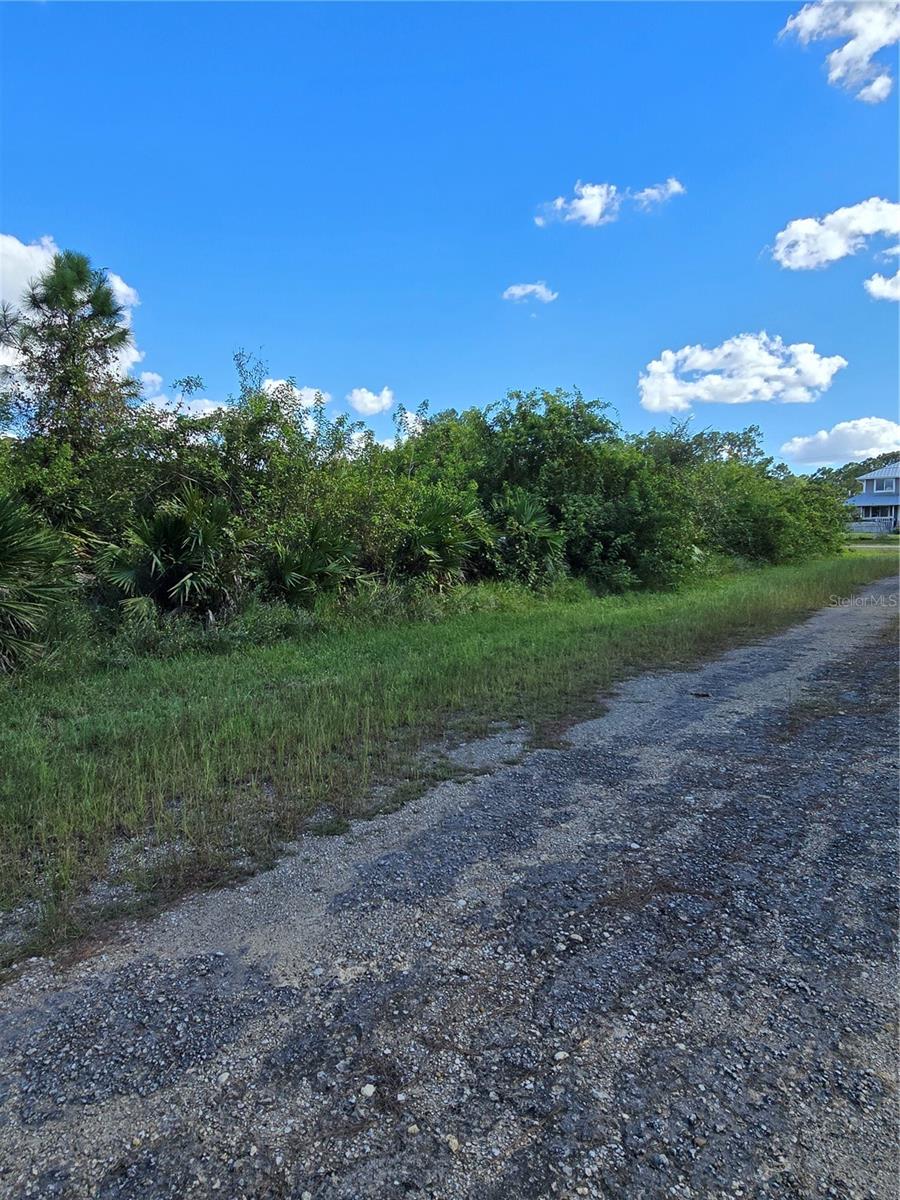 425 WILDER AVE S, LEHIGH ACRES, FL — photo 7