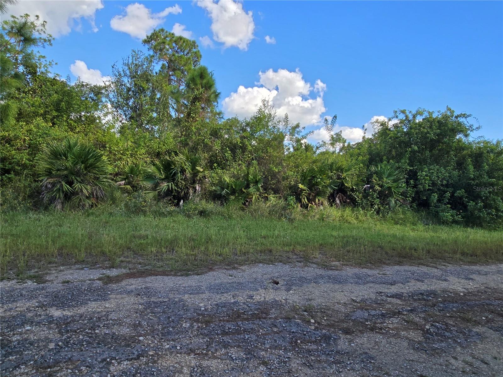 425 WILDER AVE S, LEHIGH ACRES, FL — photo 9