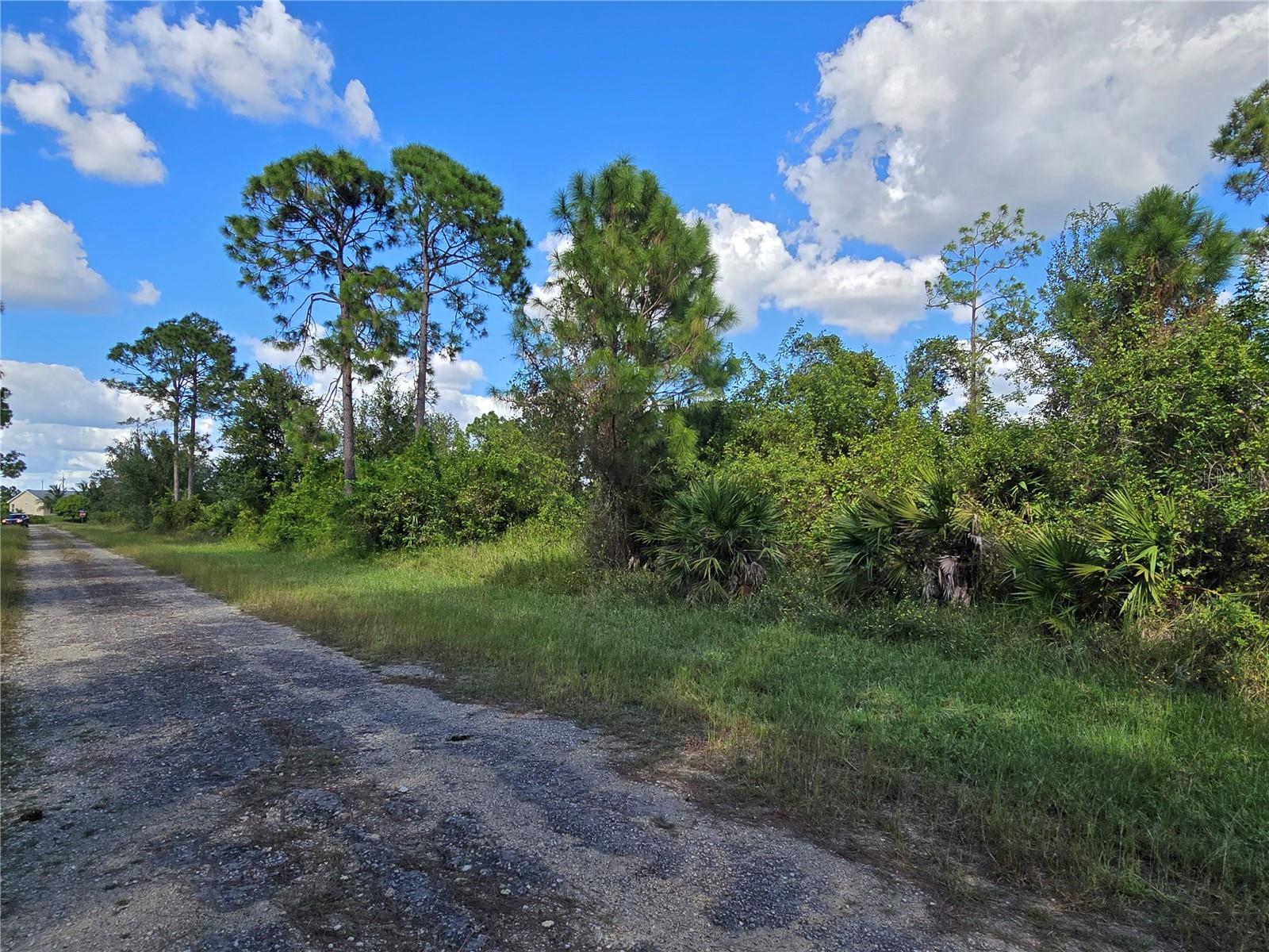 425 WILDER AVE S, LEHIGH ACRES, FL — photo 13