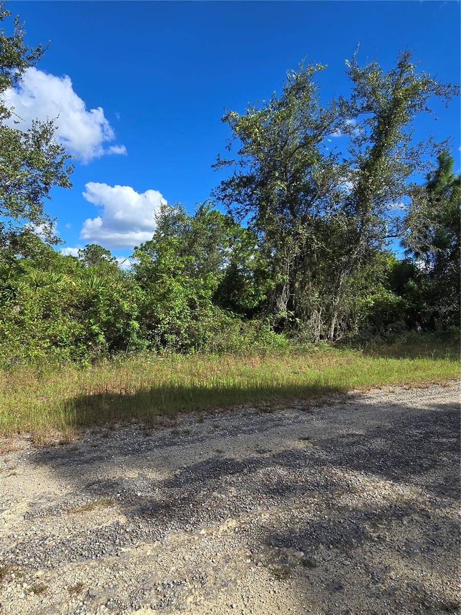 419 WILDER AVE S, LEHIGH ACRES, FL — photo 5