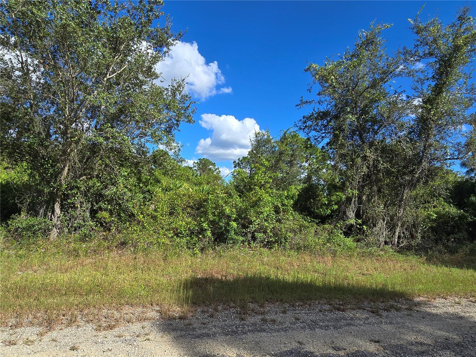 419 WILDER AVE S, LEHIGH ACRES, FL — photo 9