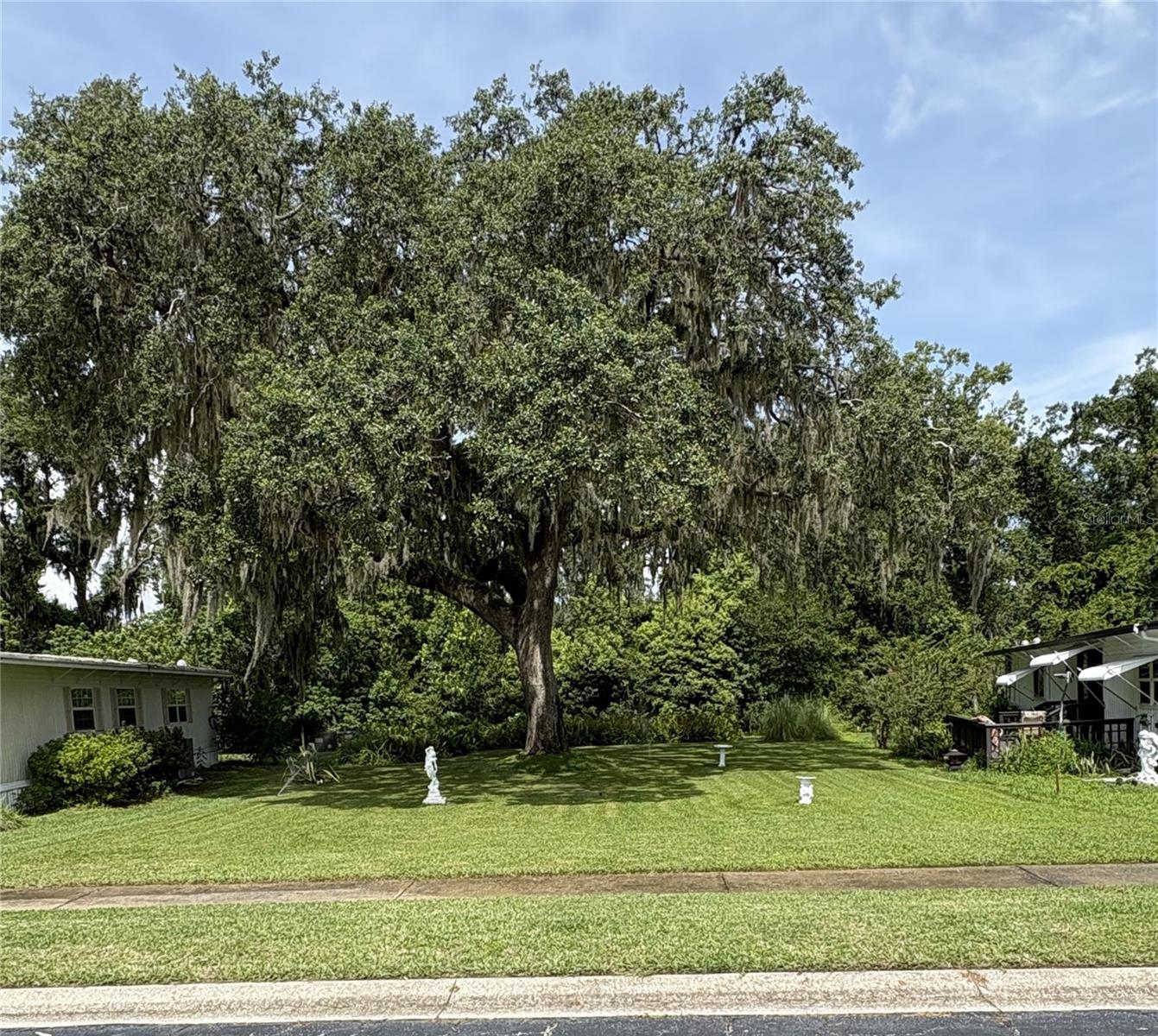 29129 JOHNSTON RD #2510, DADE CITY, FL — photo 2