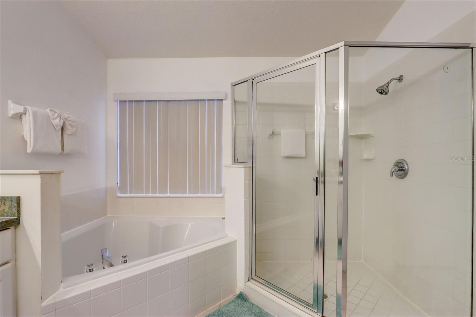 523 BALMORAL DR, DAVENPORT, FL — photo 18