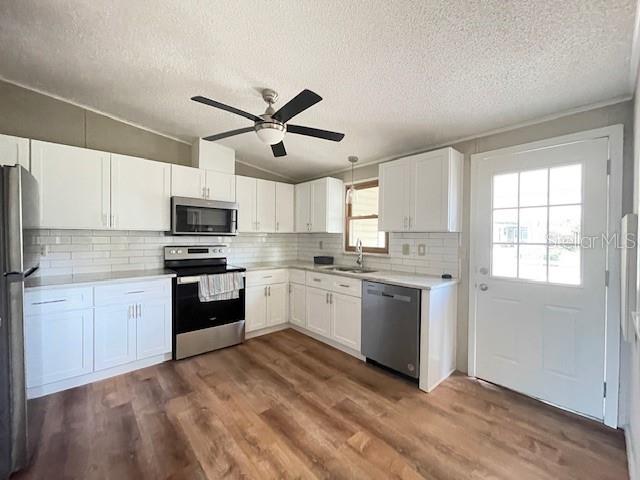 909 ORCHID ST, LADY LAKE, FL — photo 18