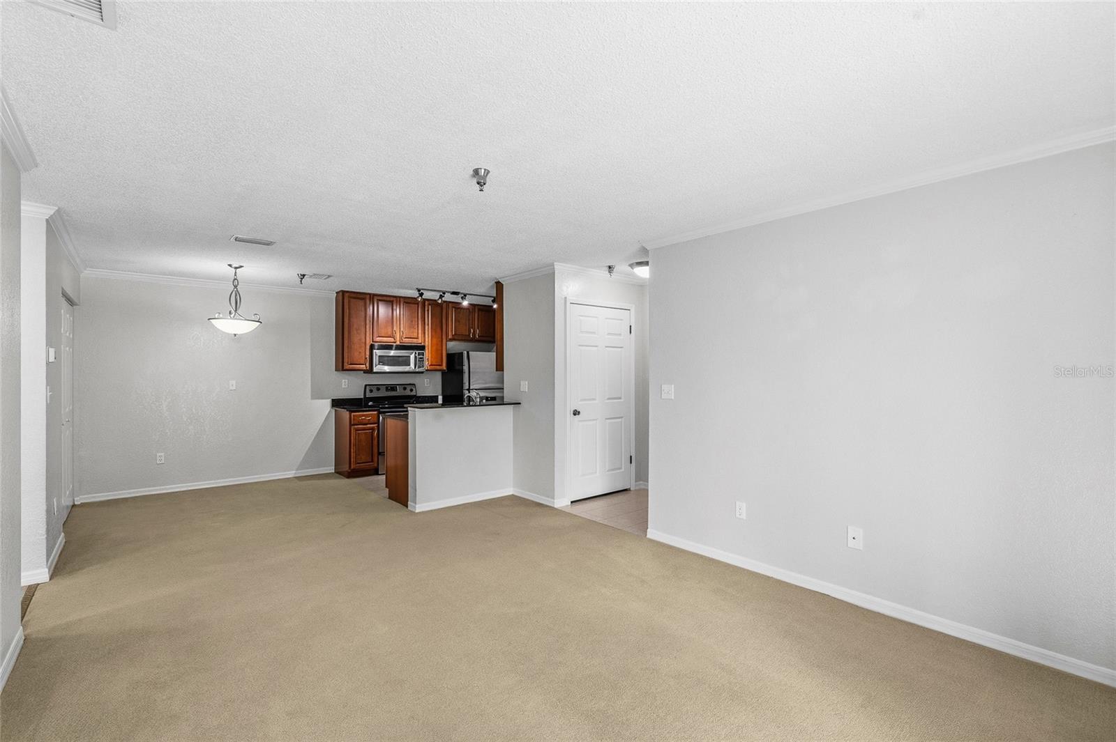 10263 GANDY BLVD N #213, ST PETERSBURG, FL — photo 7