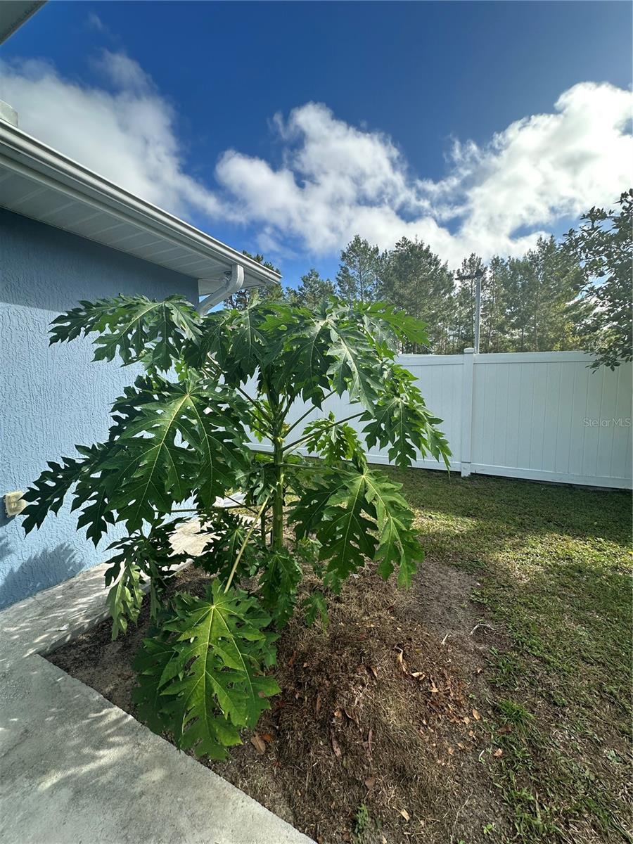 3658 SW 127TH LANE RD, OCALA, FL — photo 26