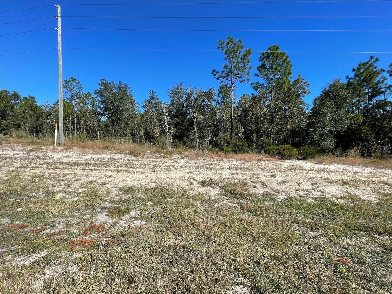 TBD NE HIGHWAY 27 ALT, BRONSON, FL — photo 2