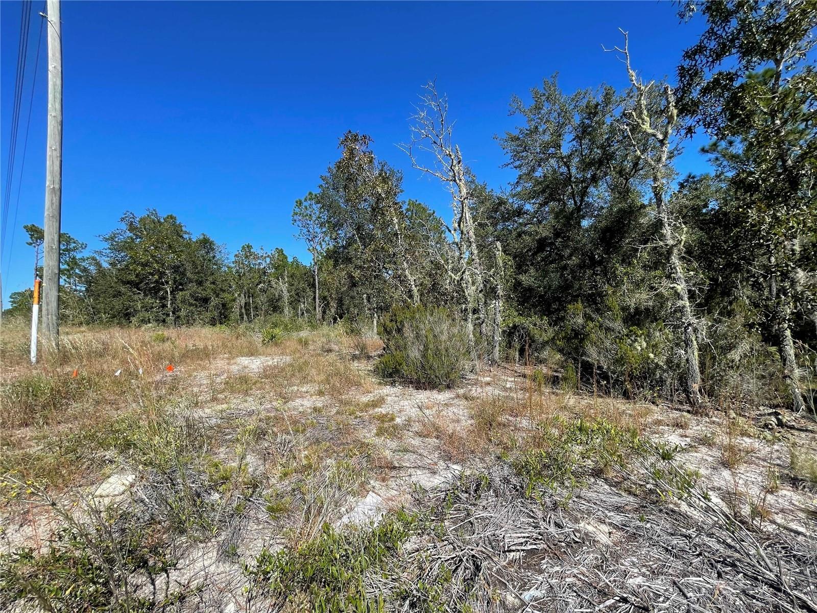 TBD NE HIGHWAY 27 ALT, BRONSON, FL — photo 4