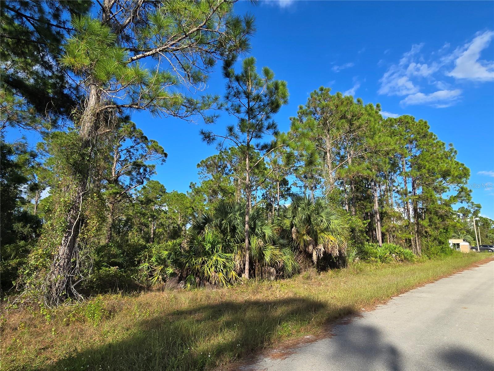 1137 RAMBLER ST, LEHIGH ACRES, FL