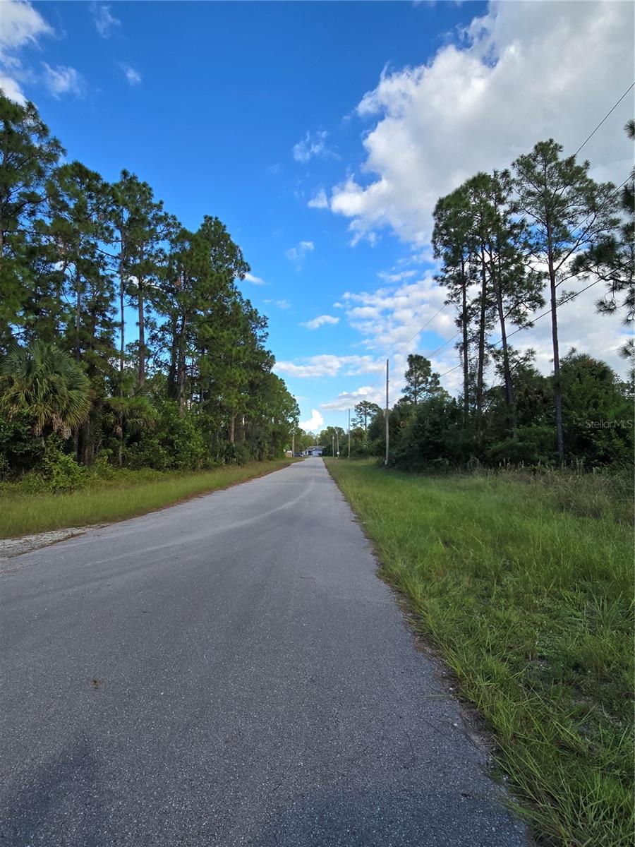 1137 RAMBLER ST, LEHIGH ACRES, FL — photo 3