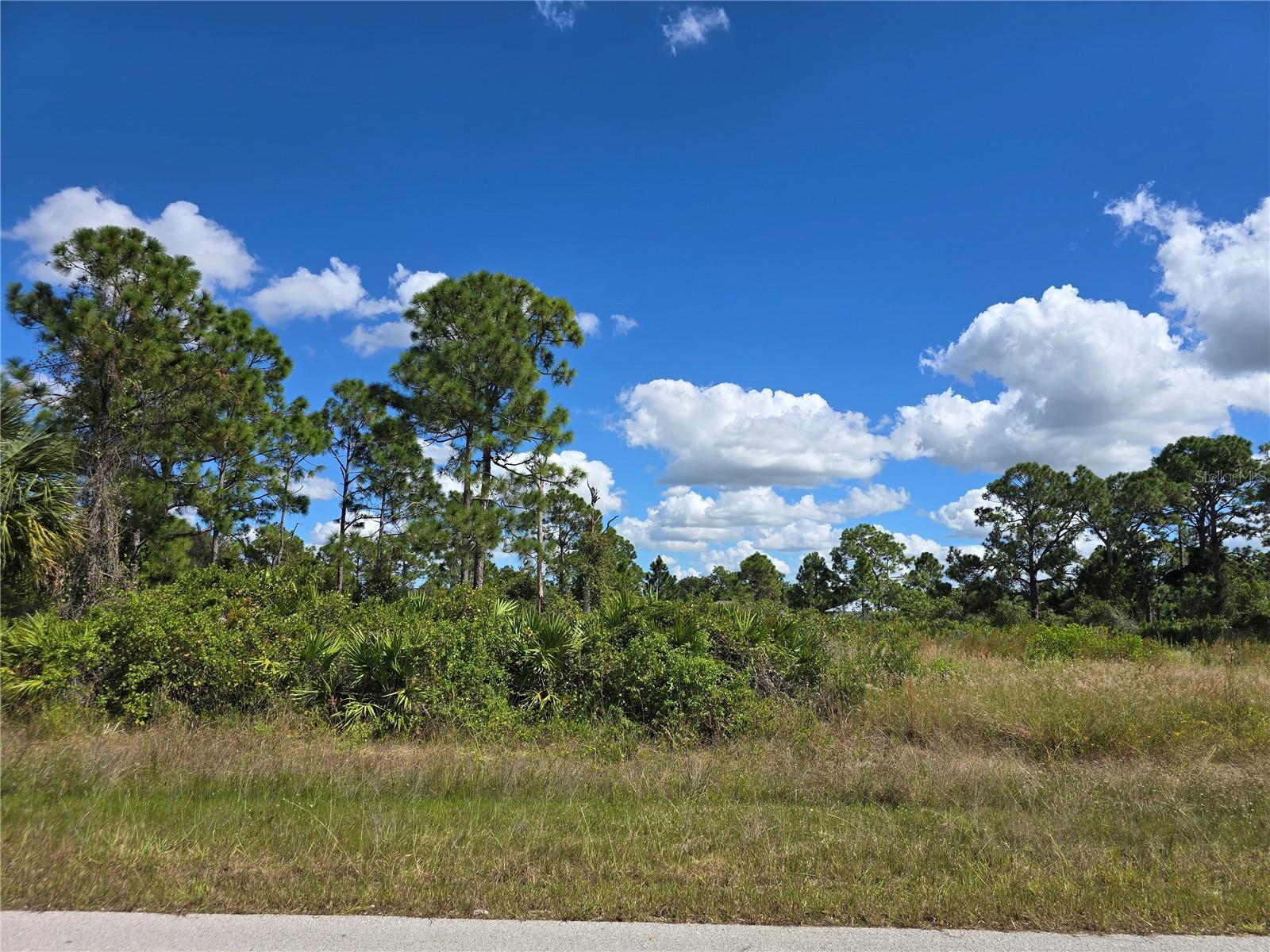 1034 DEARBORN ST, LEHIGH ACRES, FL — photo 3