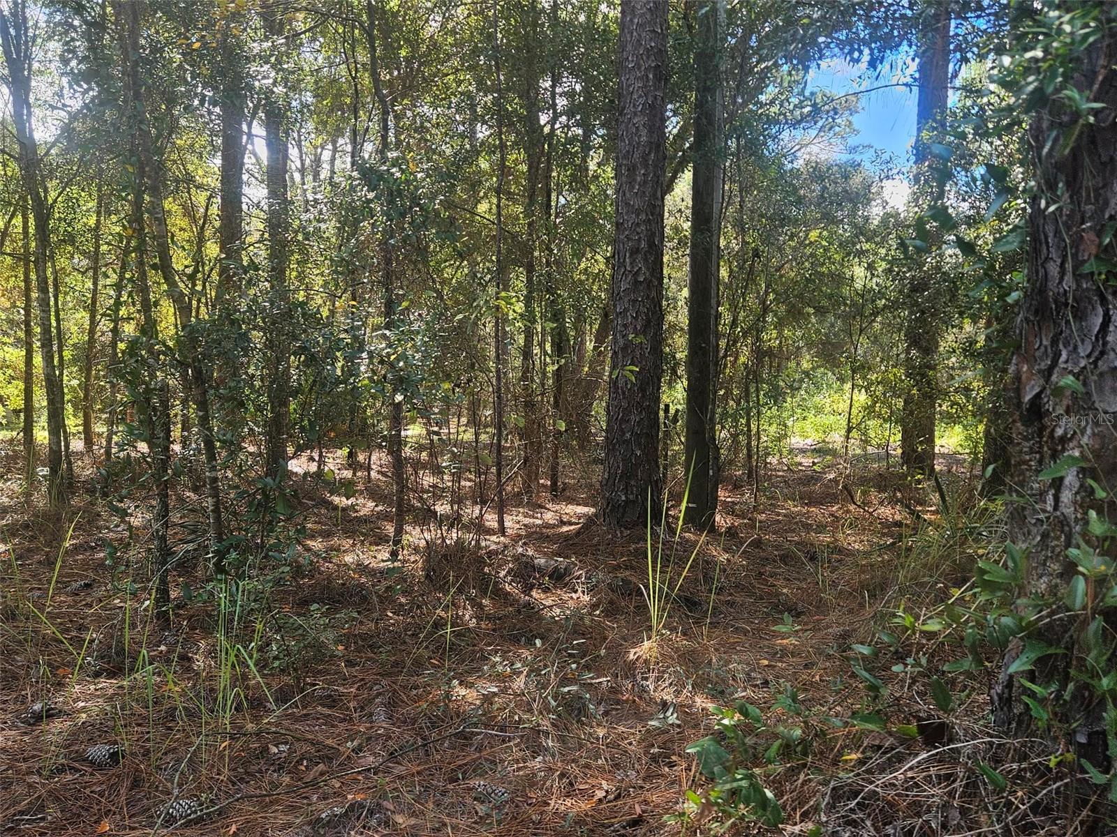 13099 SW 92ND PL, DUNNELLON, FL