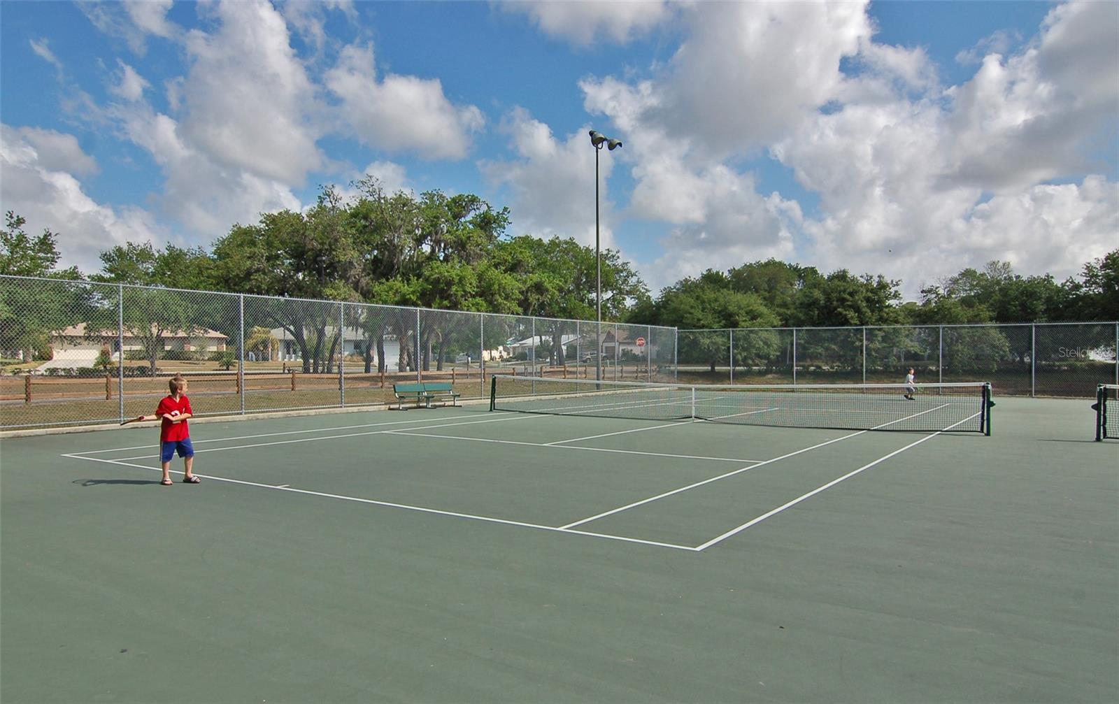2246 CORK OAK ST W, SARASOTA, FL — photo 61