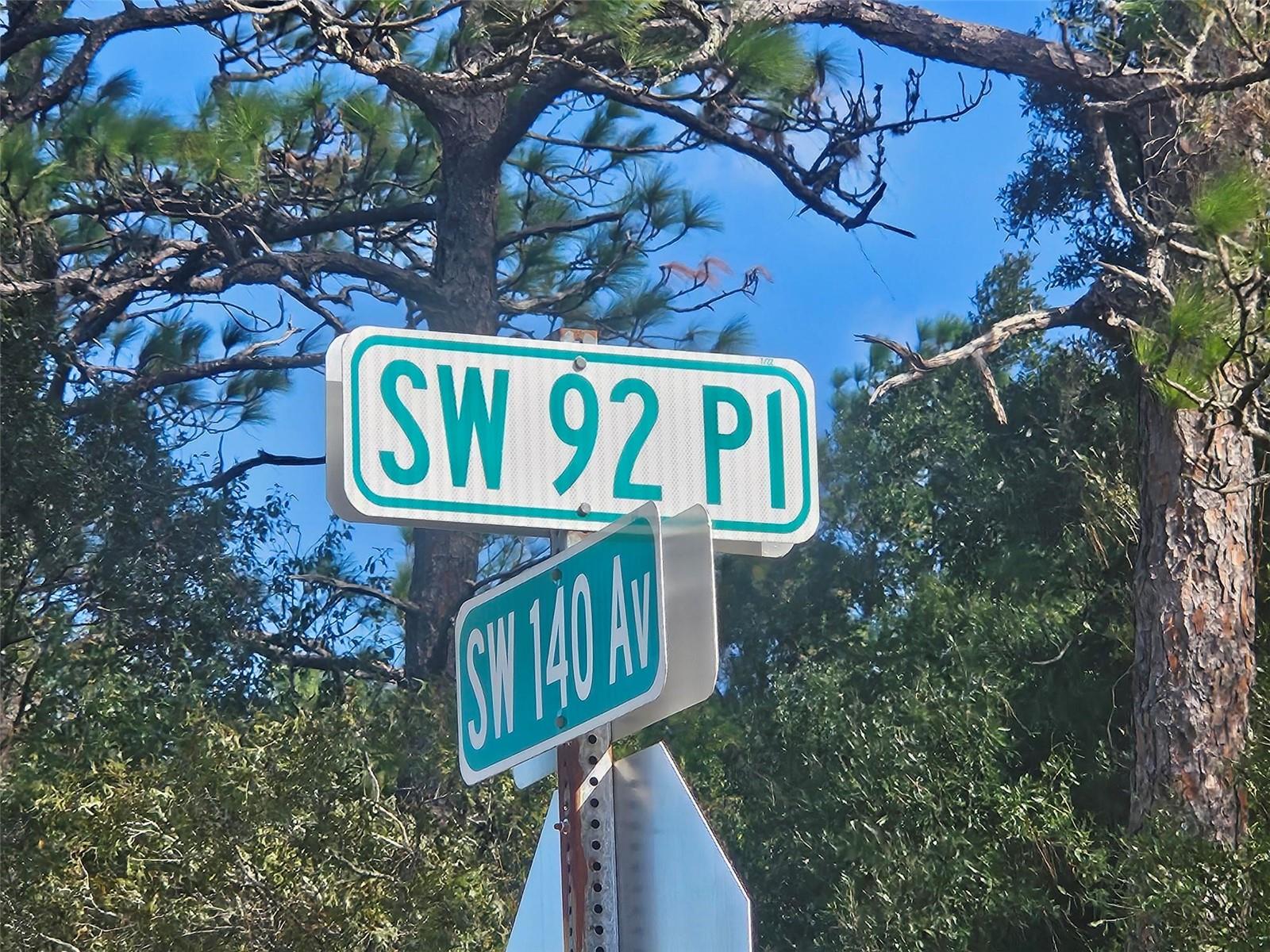 XXXX SW 92ND PL SW, DUNNELLON, FL — photo 3