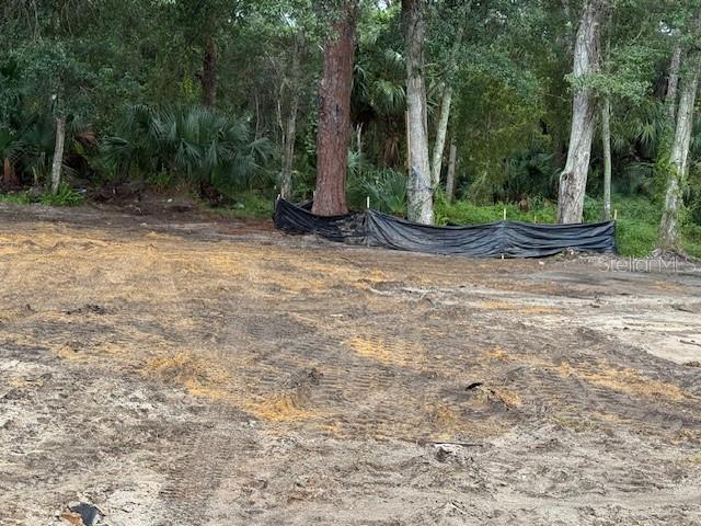 2794 S RIDGEWOOD AVE S, EDGEWATER, FL — photo 9