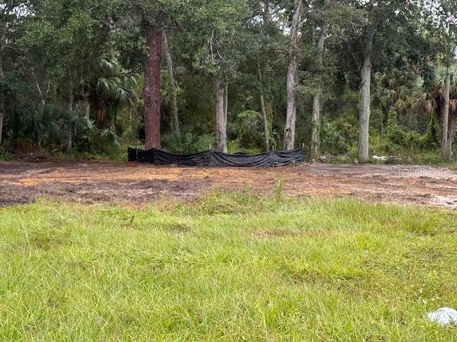 2794 S RIDGEWOOD AVE S, EDGEWATER, FL — photo 10