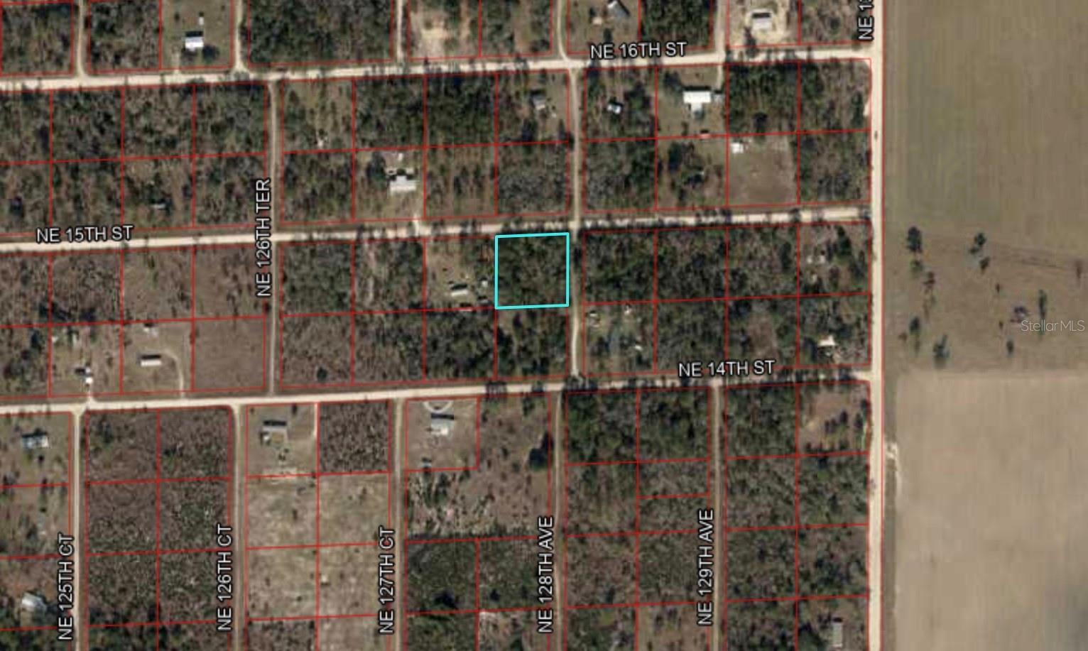 TBD NE 15TH ST, WILLISTON, FL — photo 2