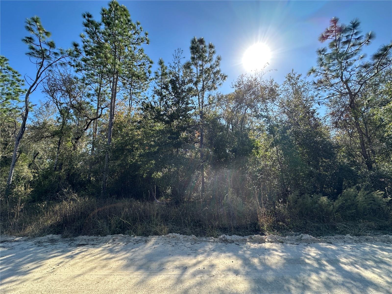TBD NE 15TH ST, WILLISTON, FL — photo 3