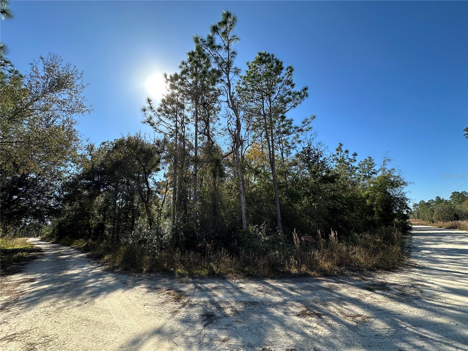 TBD NE 15TH ST, WILLISTON, FL — photo 4