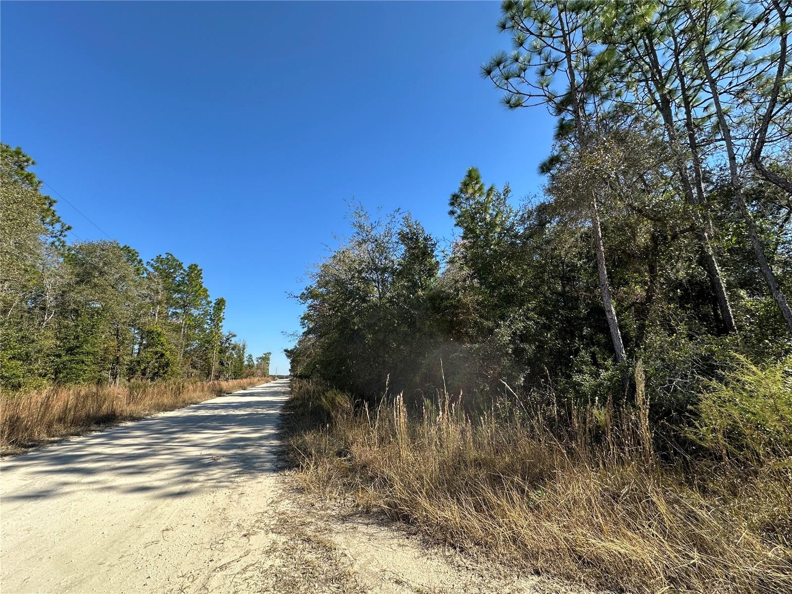 TBD NE 15TH ST, WILLISTON, FL — photo 6