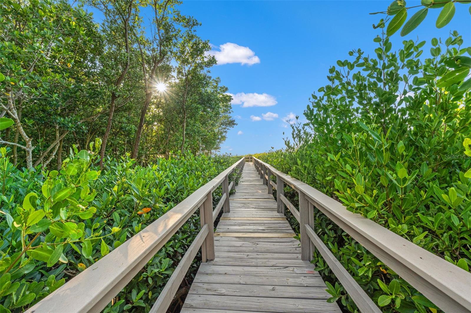 300 S FLORIDA AVE #600F, TARPON SPRINGS, FL — photo 45