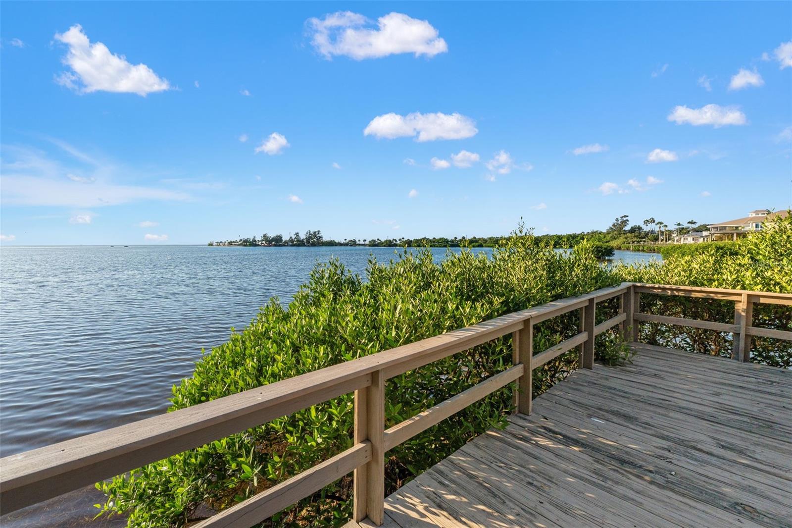 300 S FLORIDA AVE #600F, TARPON SPRINGS, FL — photo 48