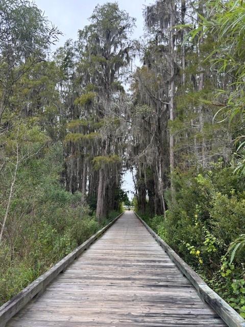 15068 CARAVAN AVE, ODESSA, FL — photo 31