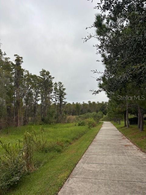 15068 CARAVAN AVE, ODESSA, FL — photo 32