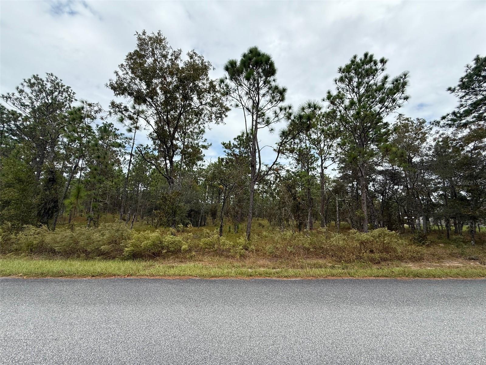 NW AMBERJACK AVE, DUNNELLON, FL