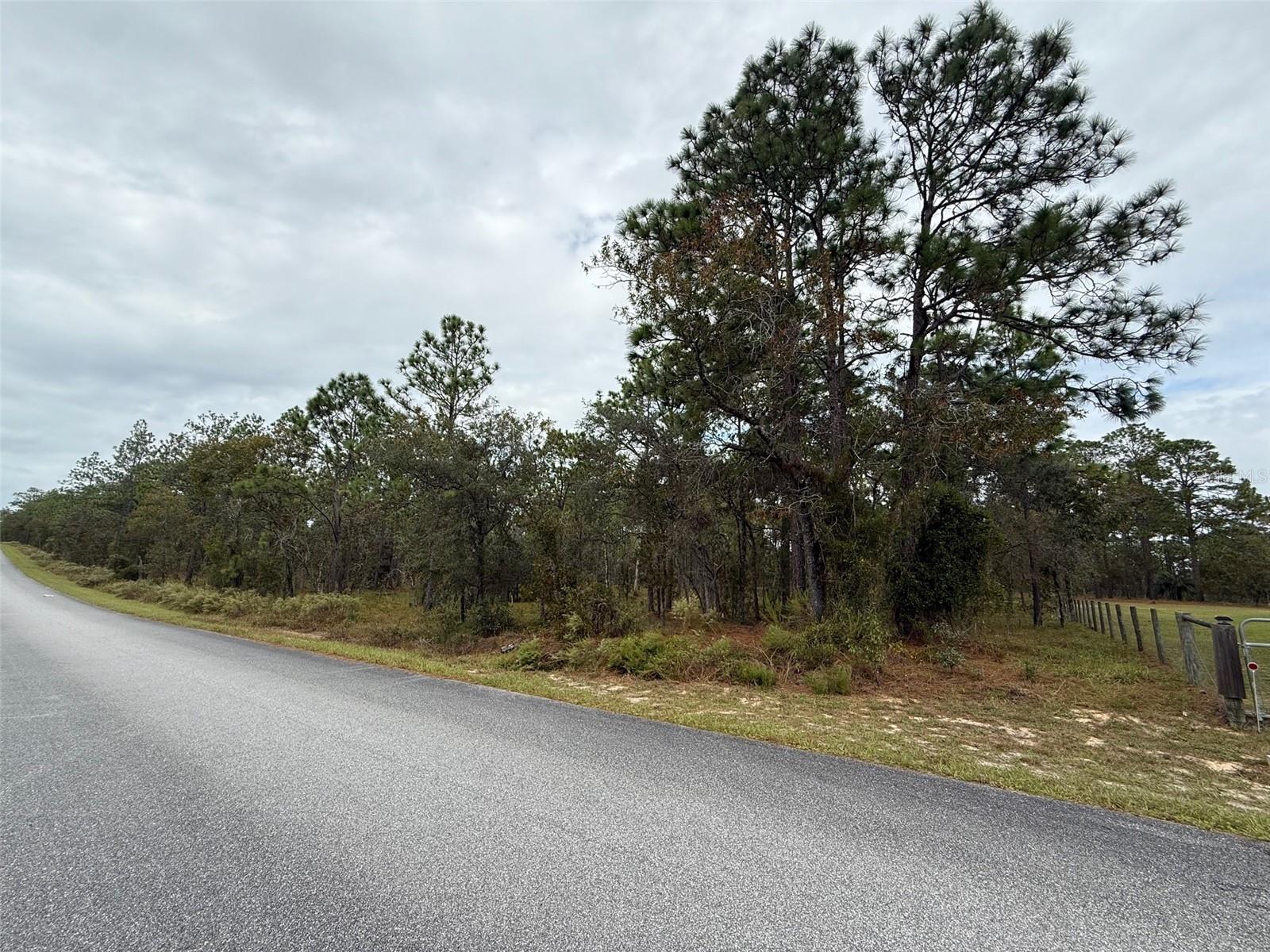 NW AMBERJACK AVE, DUNNELLON, FL — photo 2